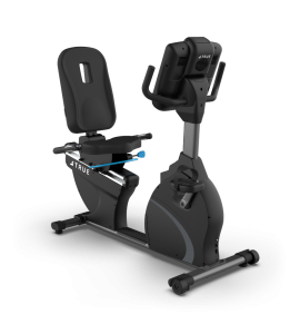 TRUE 900 RECUMBENT BIKE