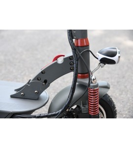 Electric Scooter Wiztem ES2510