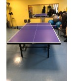 Indoor Table Tennis UC-T22