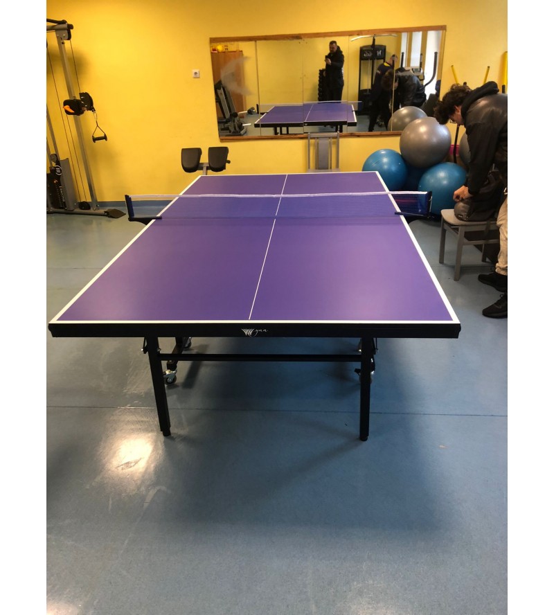 Indoor Table Tennis UC-T22